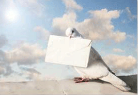 Contact the Joe Kavanagh Foundation