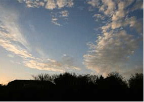 Joe Kavanagh Foundation Trustess